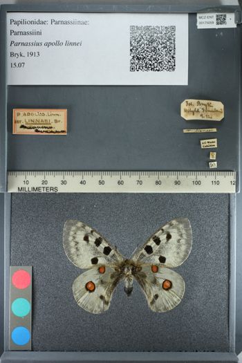 Media type: image;   Entomology 175059